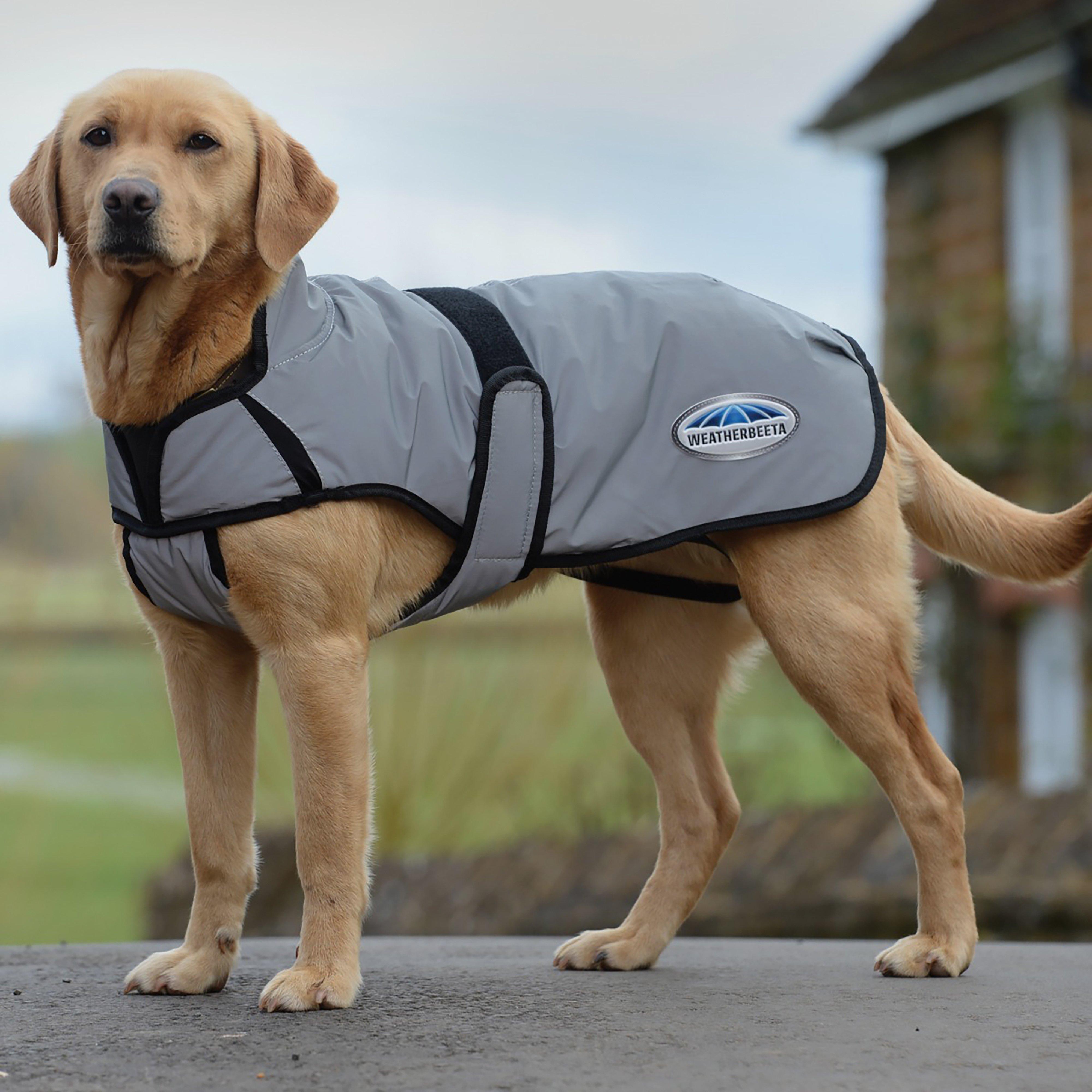 ComFiTec Reflective 220g Medium Weight Dog Coat Silver