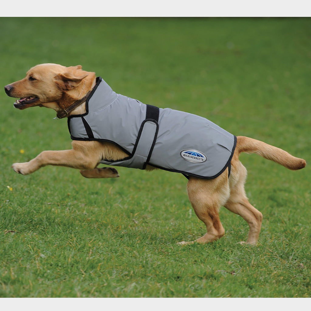 ComFiTec Reflective 220g Medium Weight Dog Coat Silver
