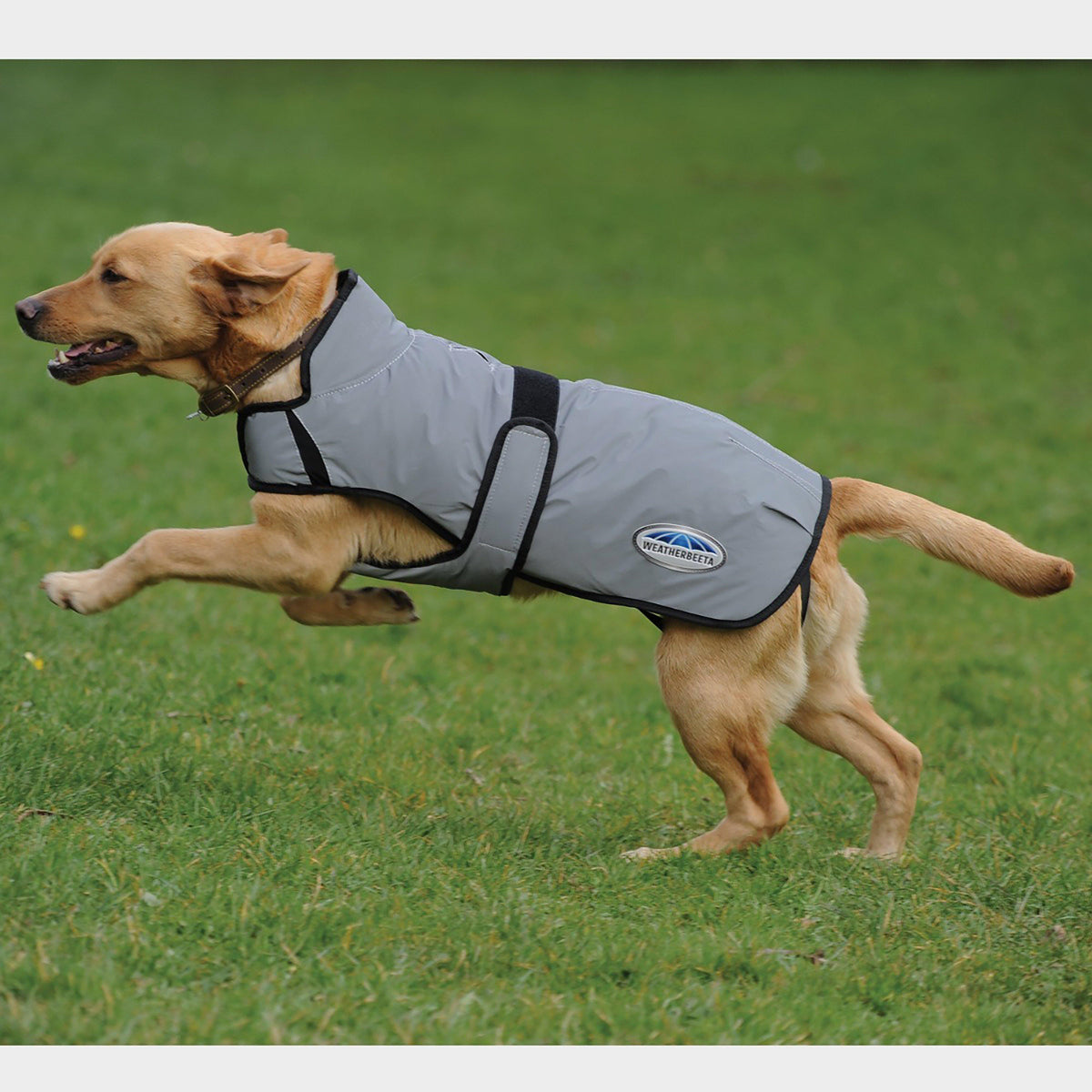 ComFiTec Reflective 220g Medium Weight Dog Coat Silver