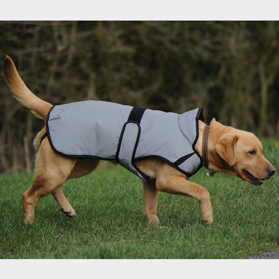 ComFiTec Reflective 220g Medium Weight Dog Coat Silver