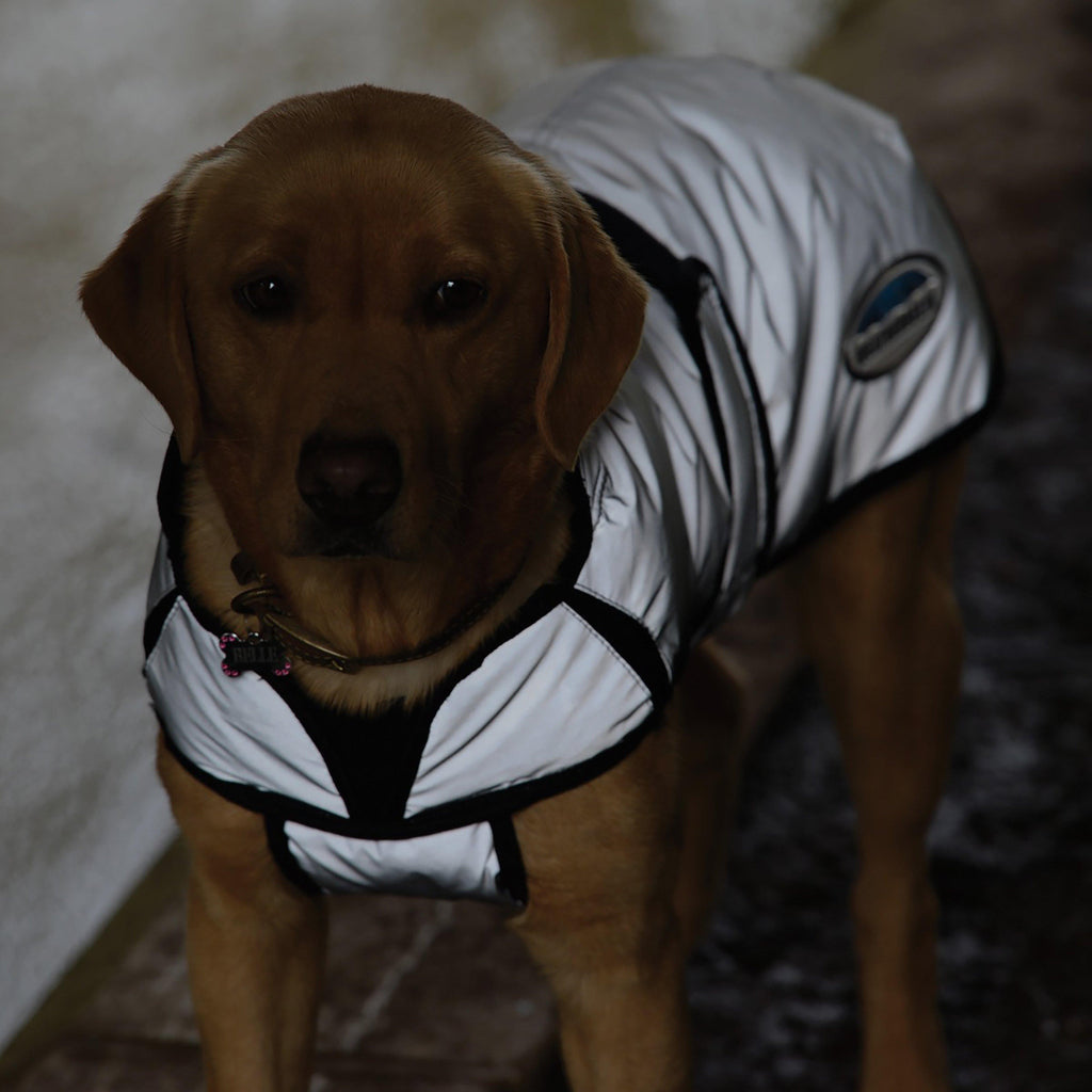 ComFiTec Reflective 220g Medium Weight Dog Coat Silver