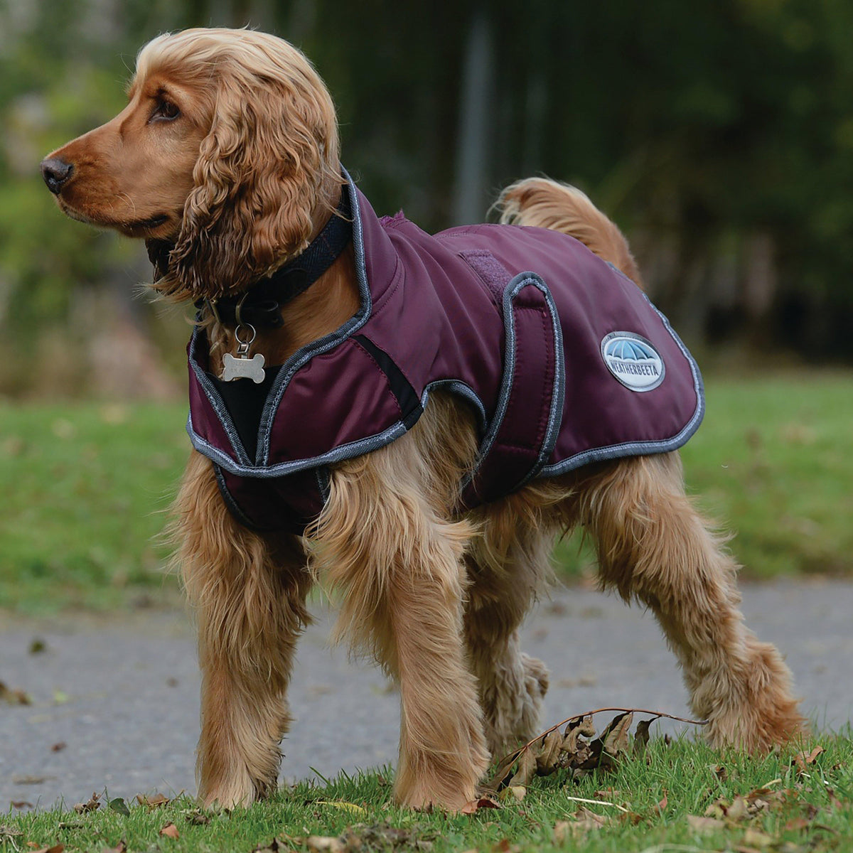 ComFiTec Windbreaker Deluxe Dog Coat Maroon/Grey/White