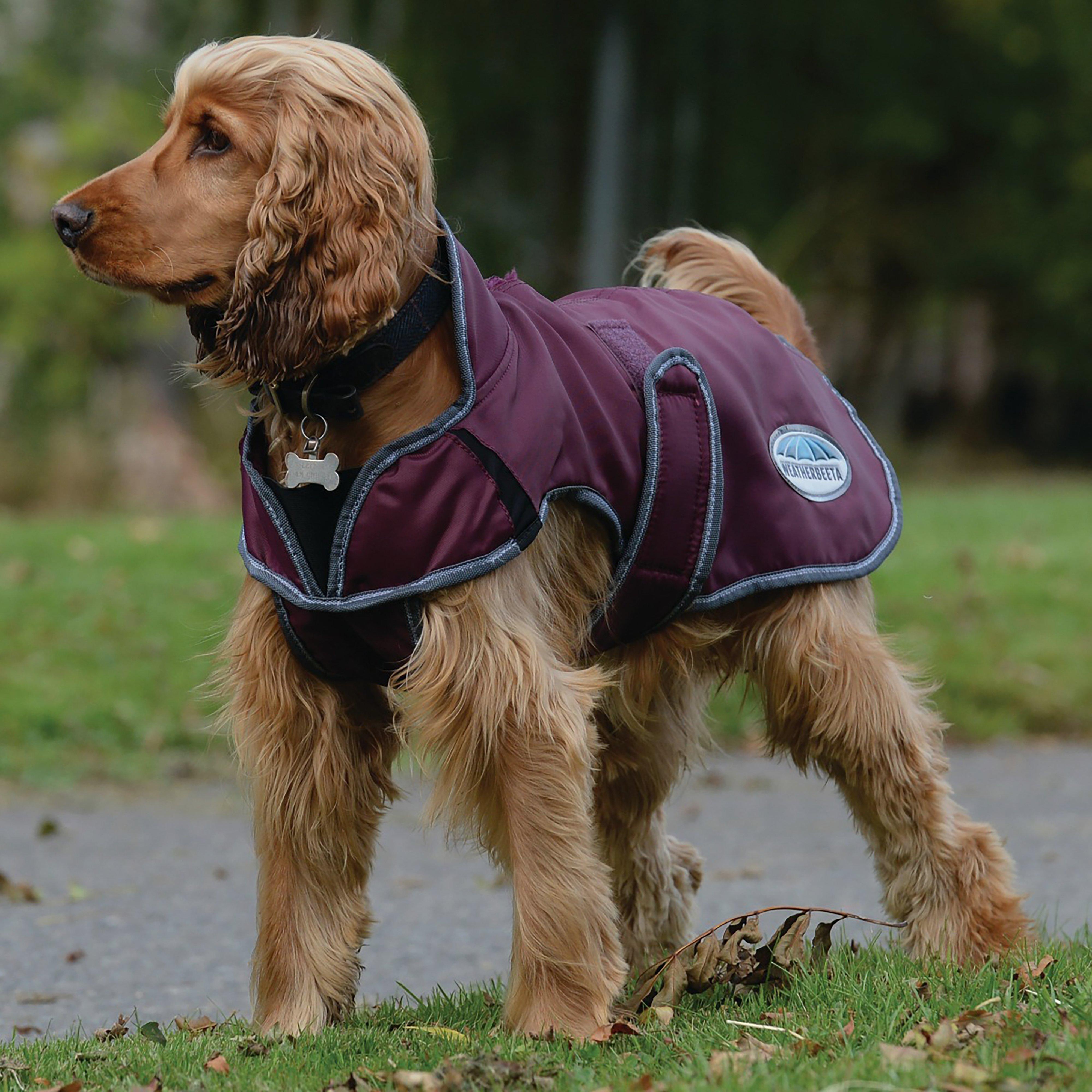 ComFiTec Windbreaker Deluxe Dog Coat Maroon/Grey/White
