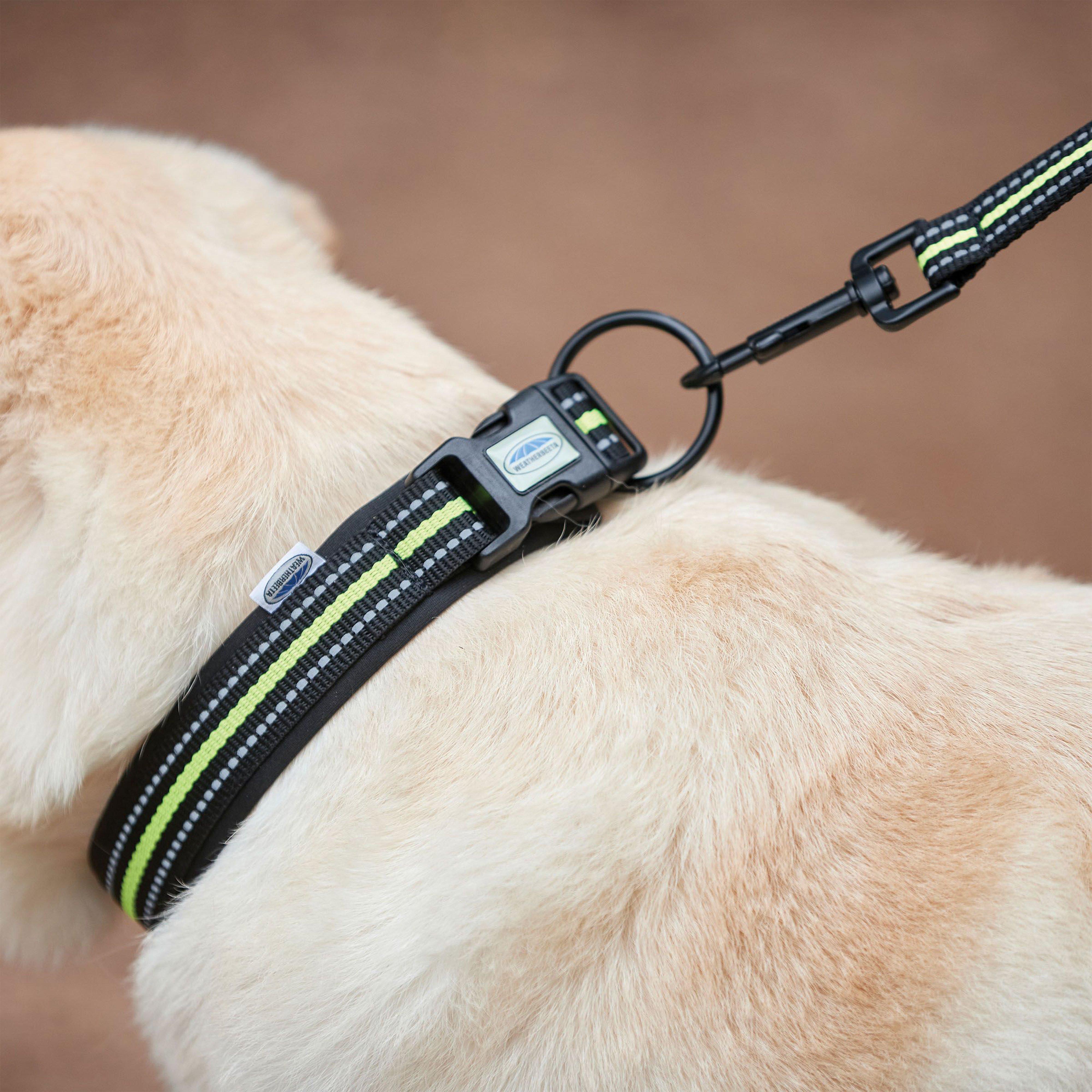 Reflective Dog Collar Black/Yellow