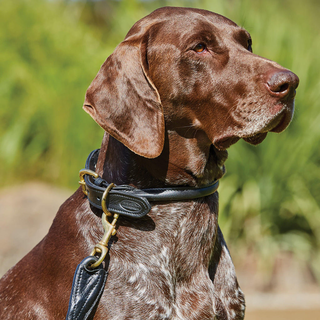 Rolled Leather Lead Black