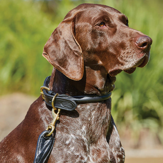 Rolled Leather Lead Black