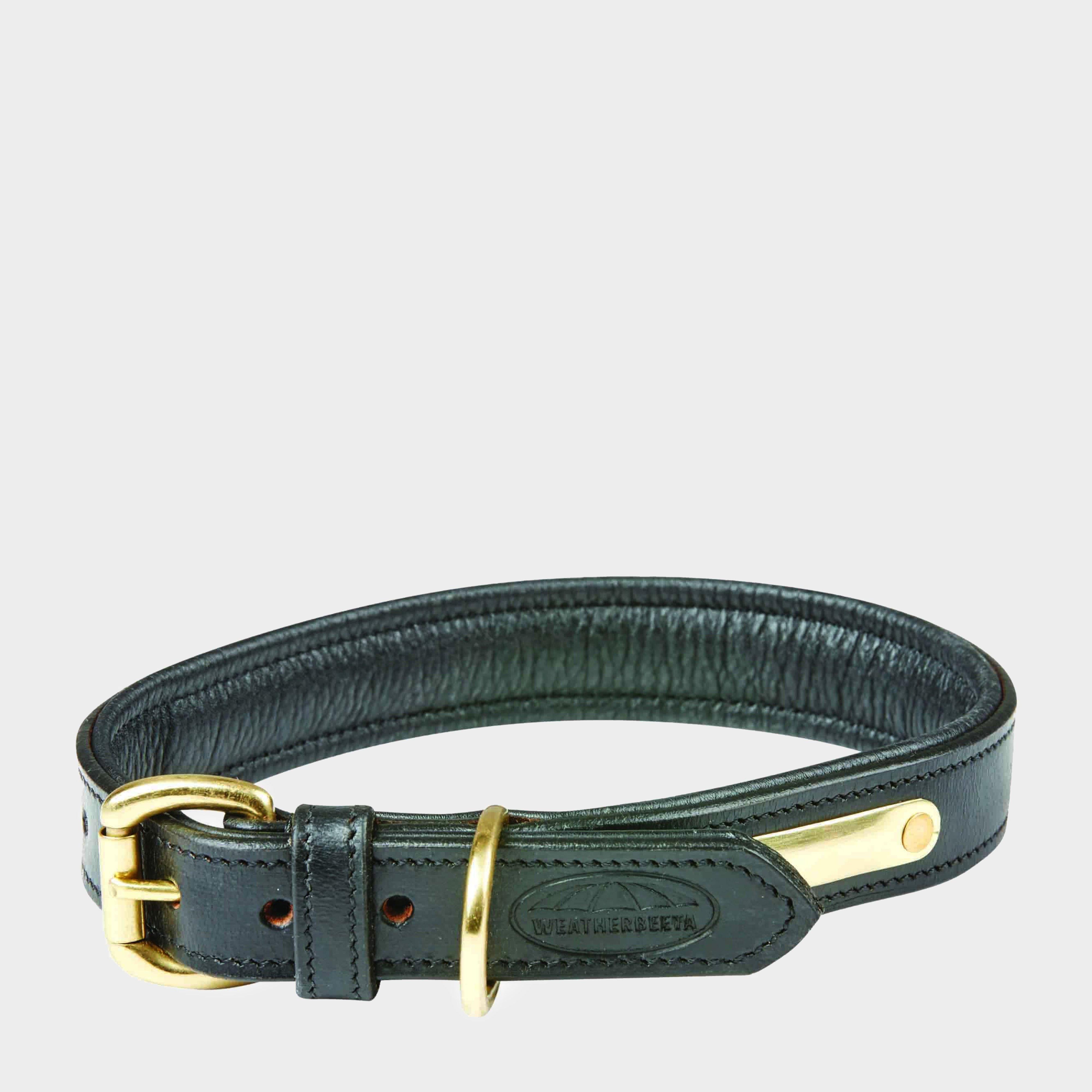 Padded Leather Collar Black