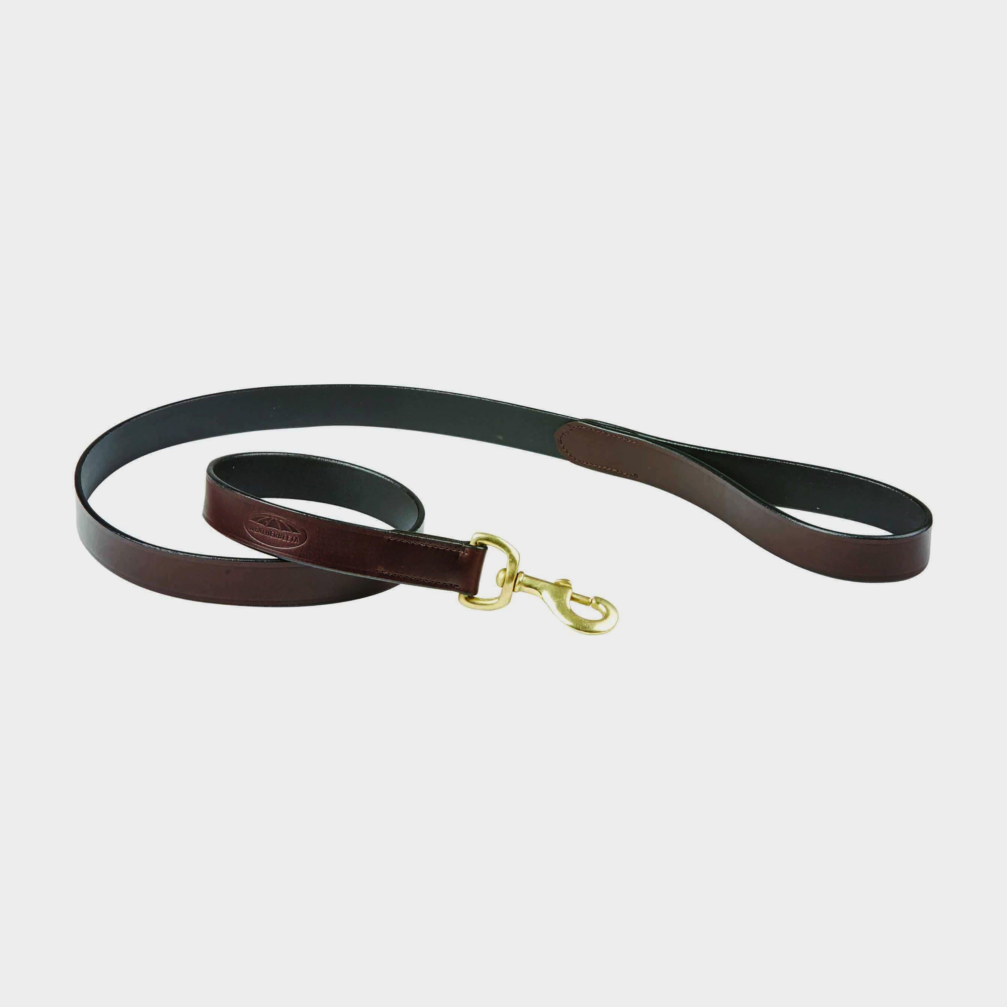 Leather Dog Lead Brown