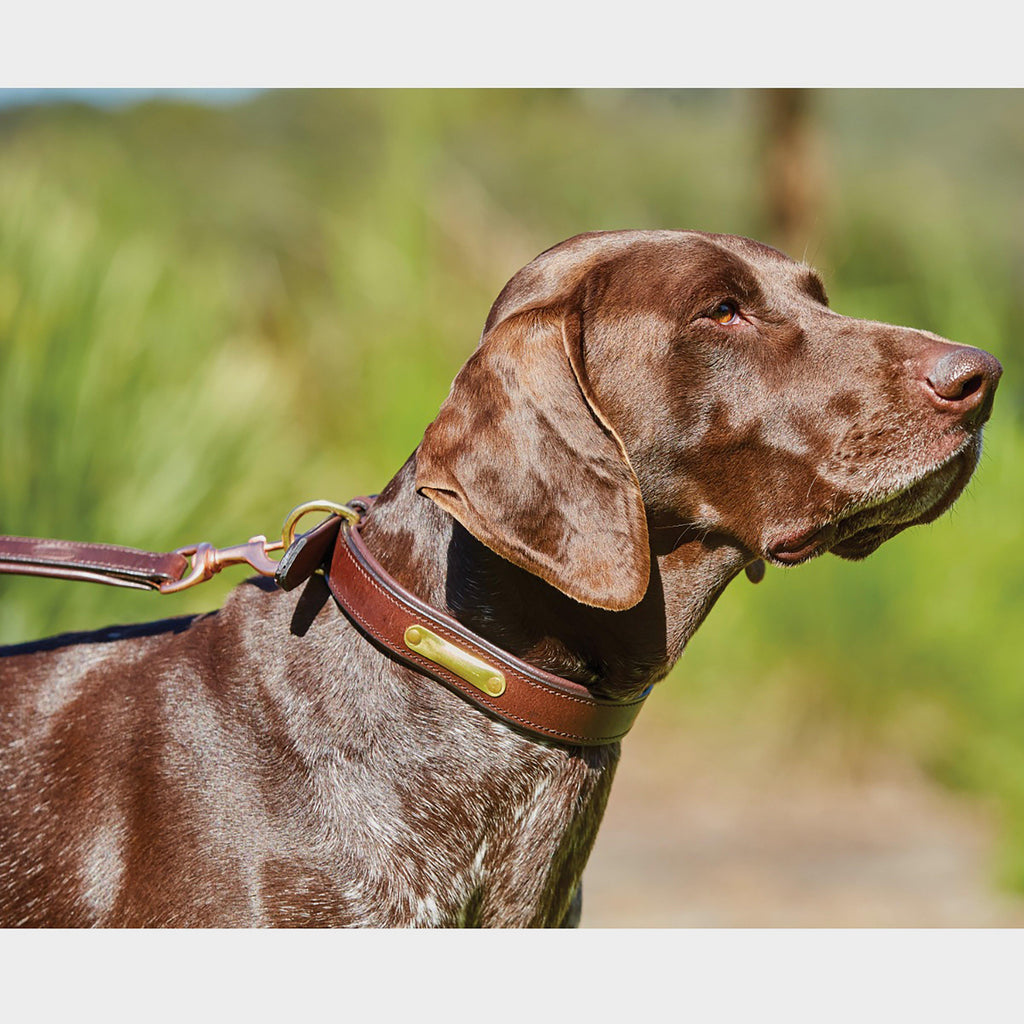 Leather Dog Lead Brown
