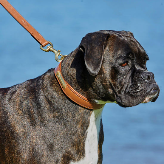 Leather Dog Lead Tan