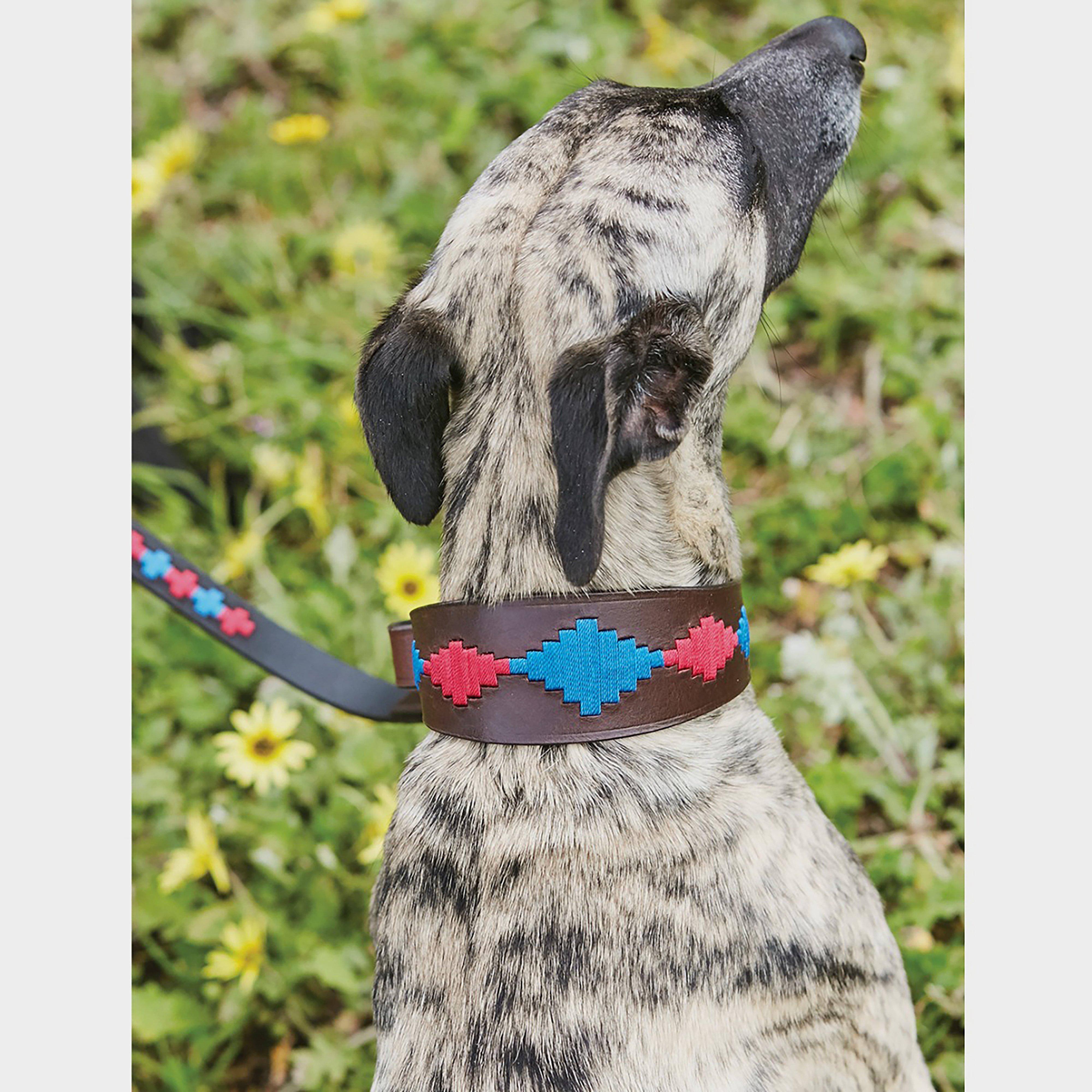Polo Lurcher Collar Beaufort Brown/Pink/Blue