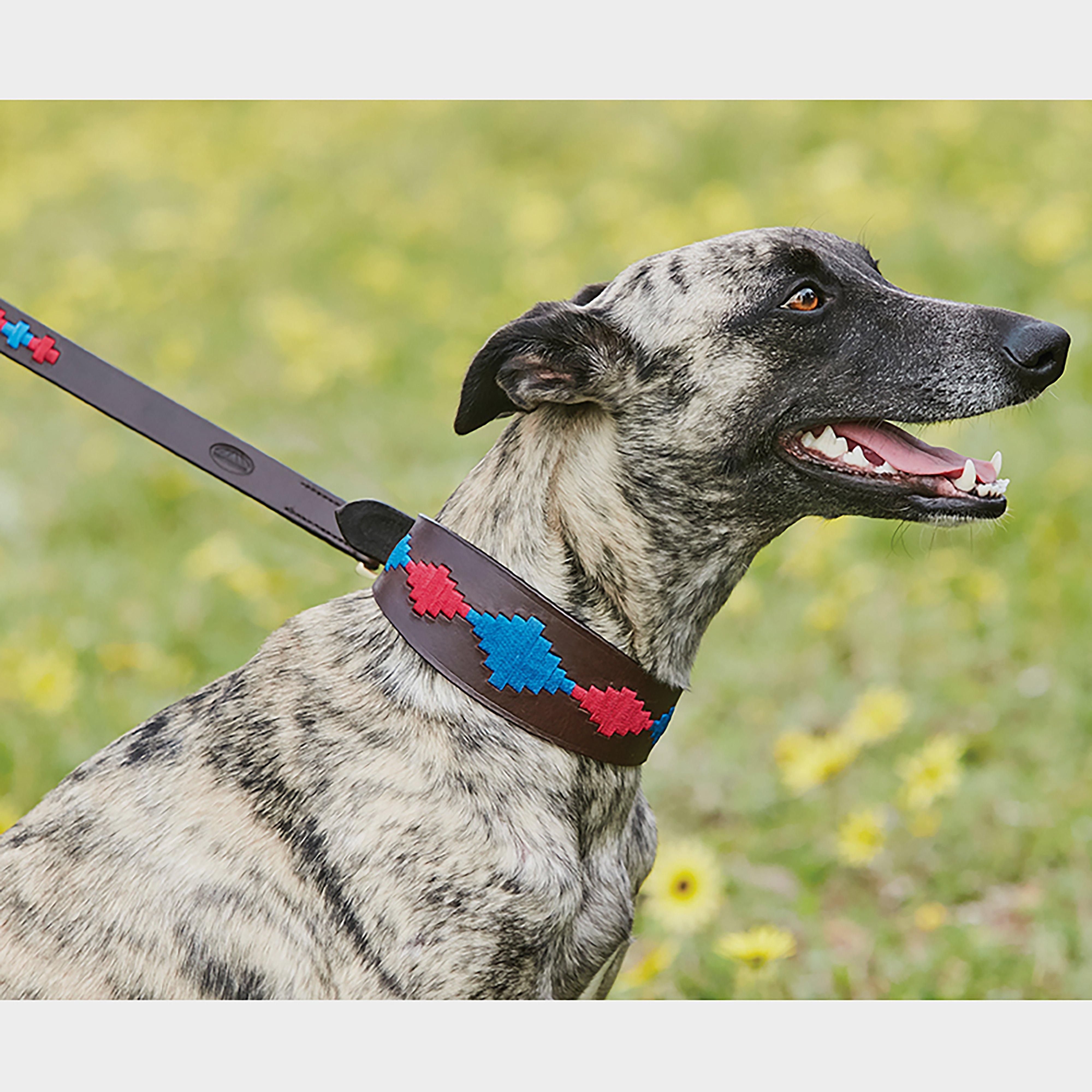 Polo Lurcher Collar Beaufort Brown/Pink/Blue