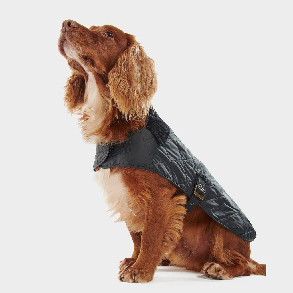 Quilted Dog Coat Black