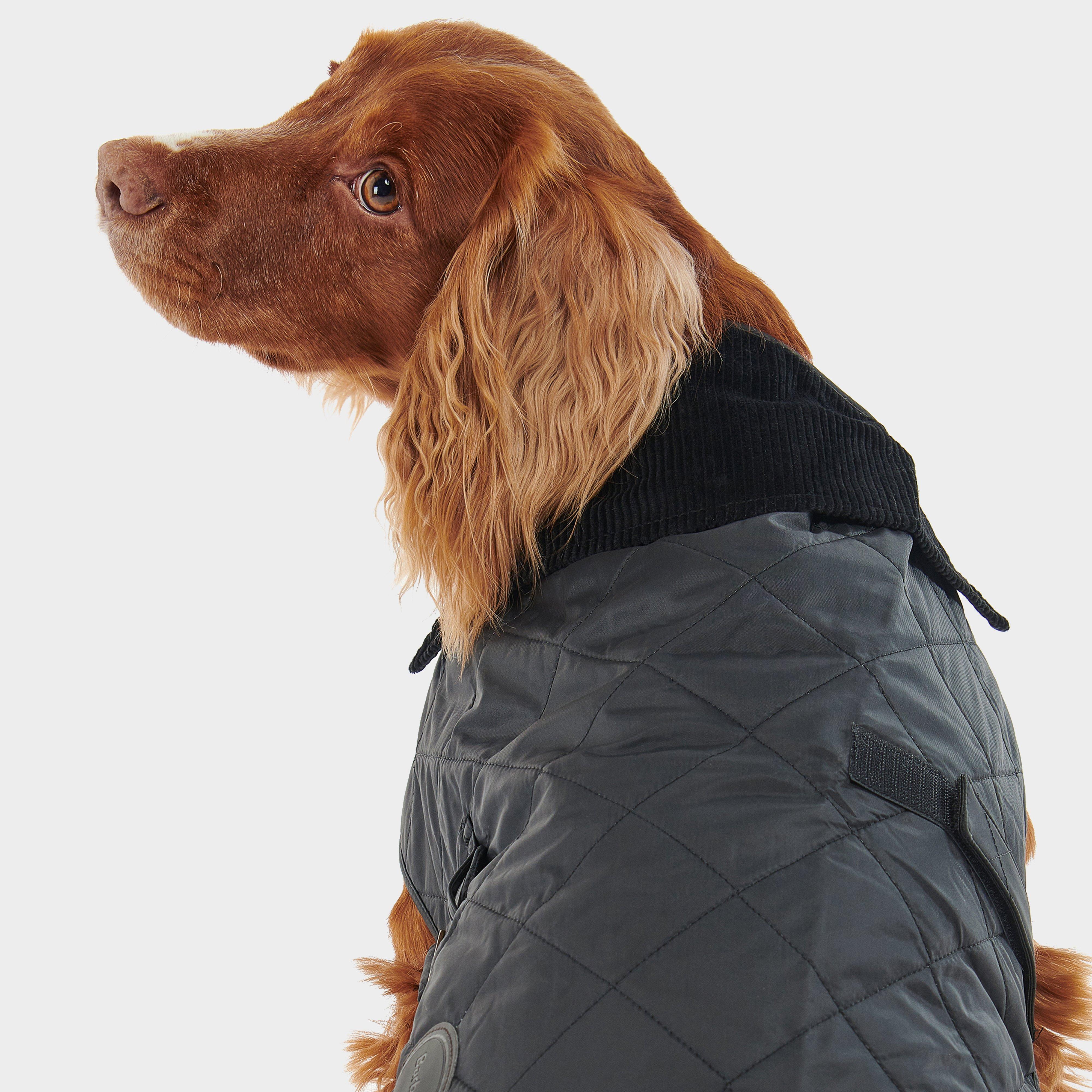 Quilted Dog Coat Black