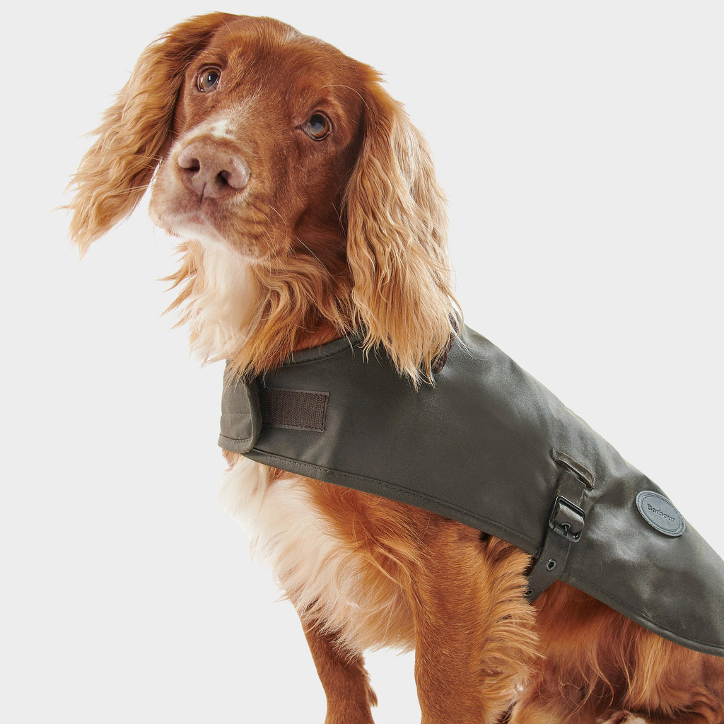 Wax Dog Coat Olive