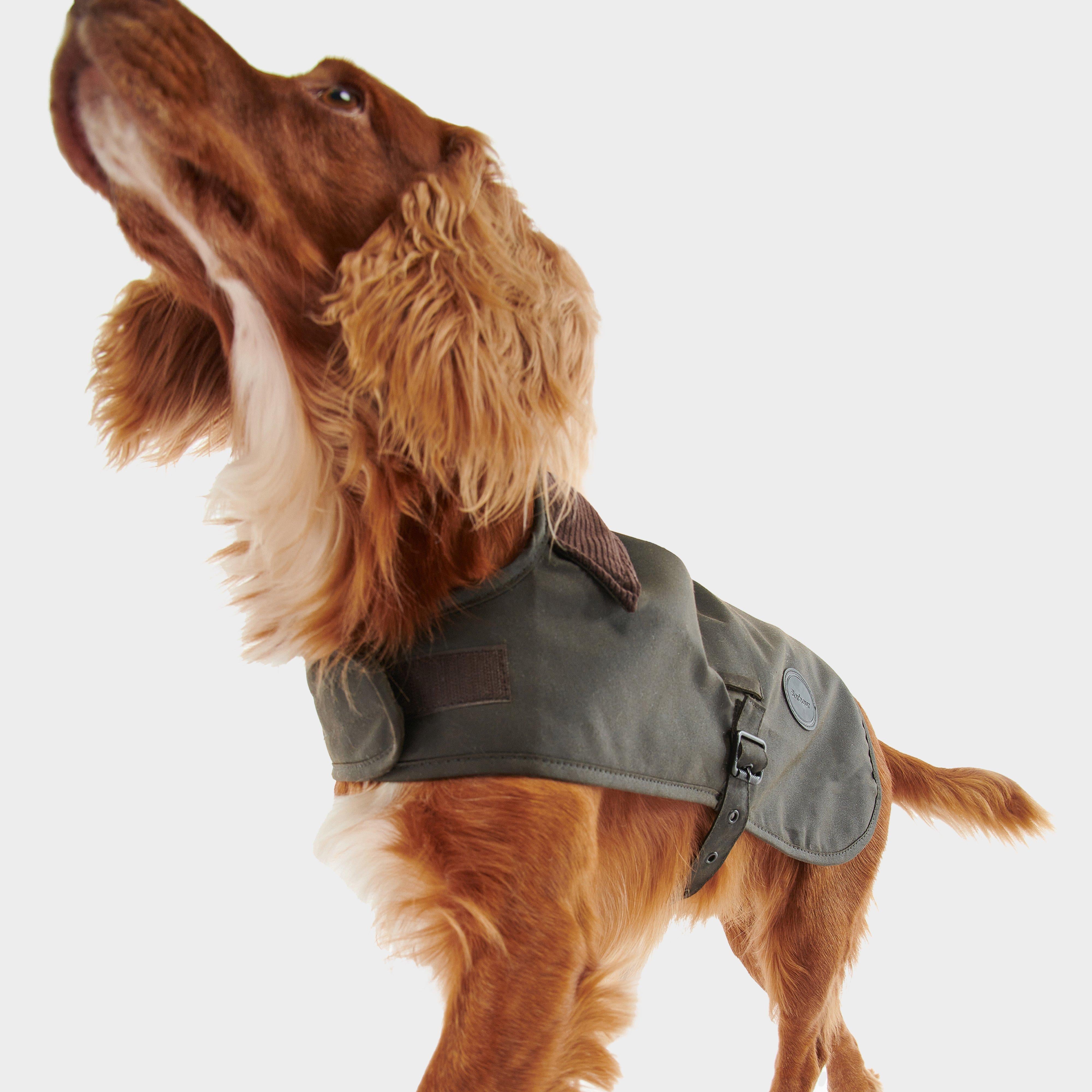Wax Dog Coat Olive