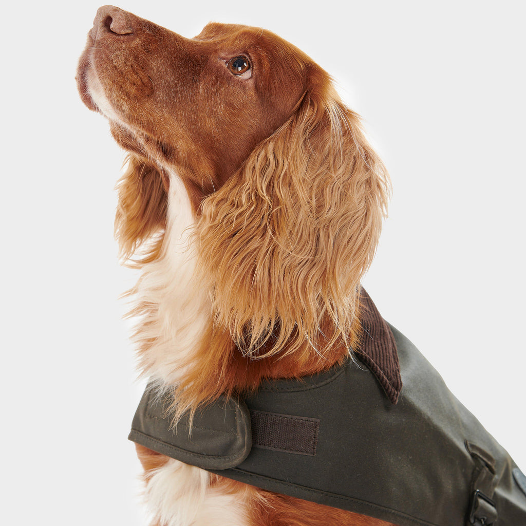 Wax Dog Coat Olive
