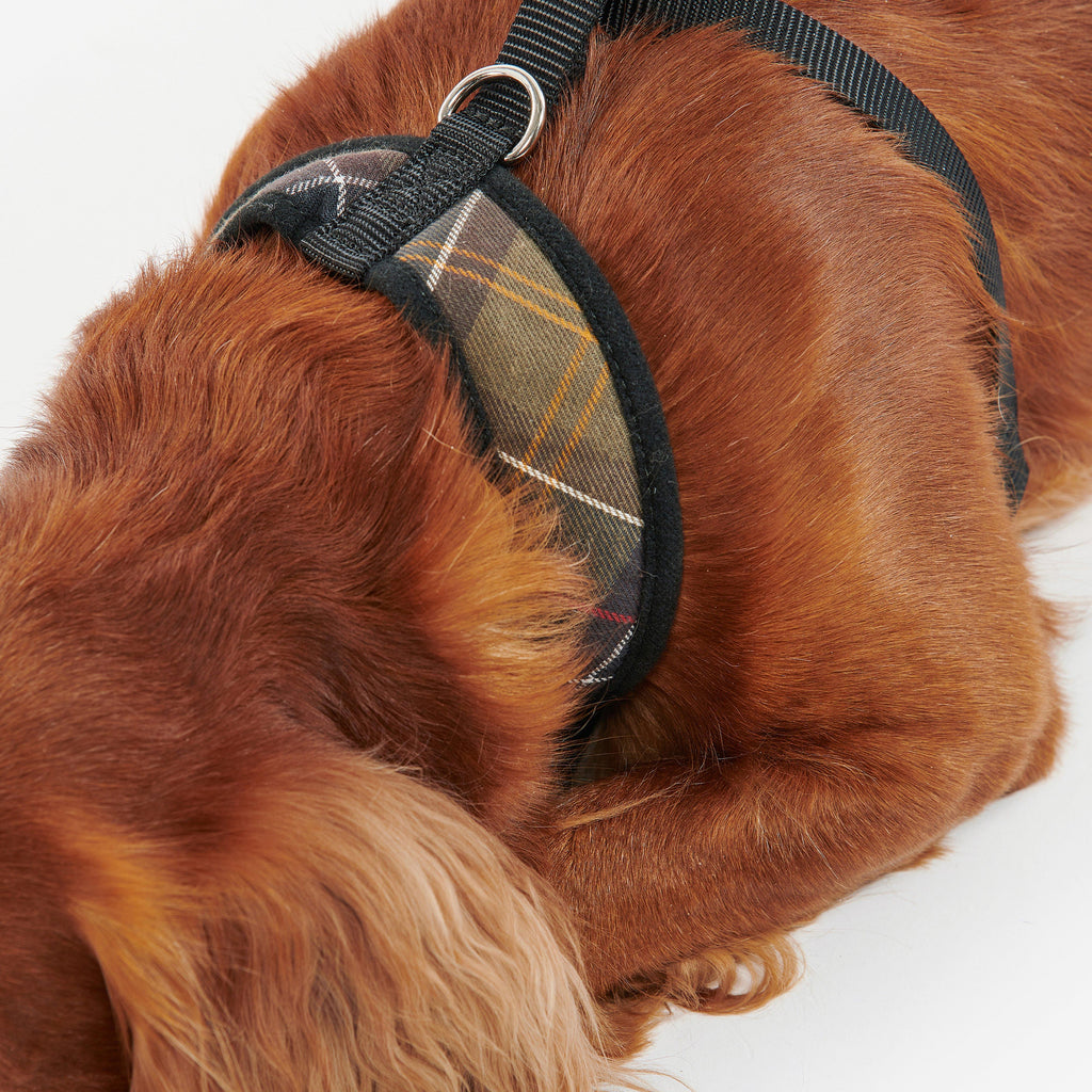 Tartan Dog Harness Classic Tartan