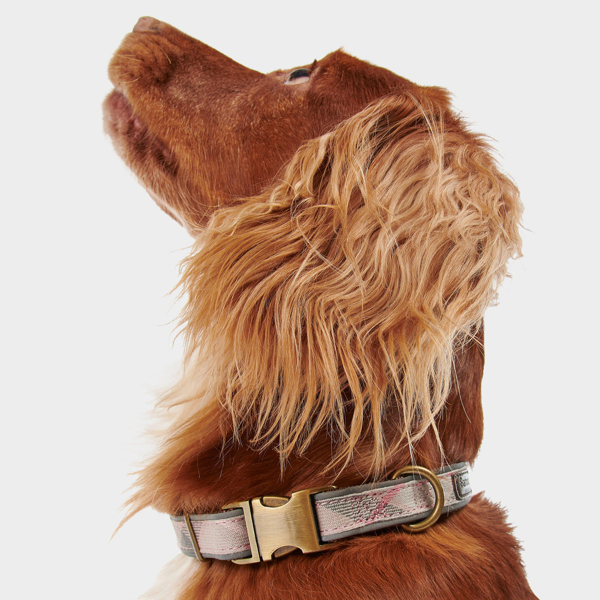 Reflective Tartan Dog Collar Taupe/Pink Tartan