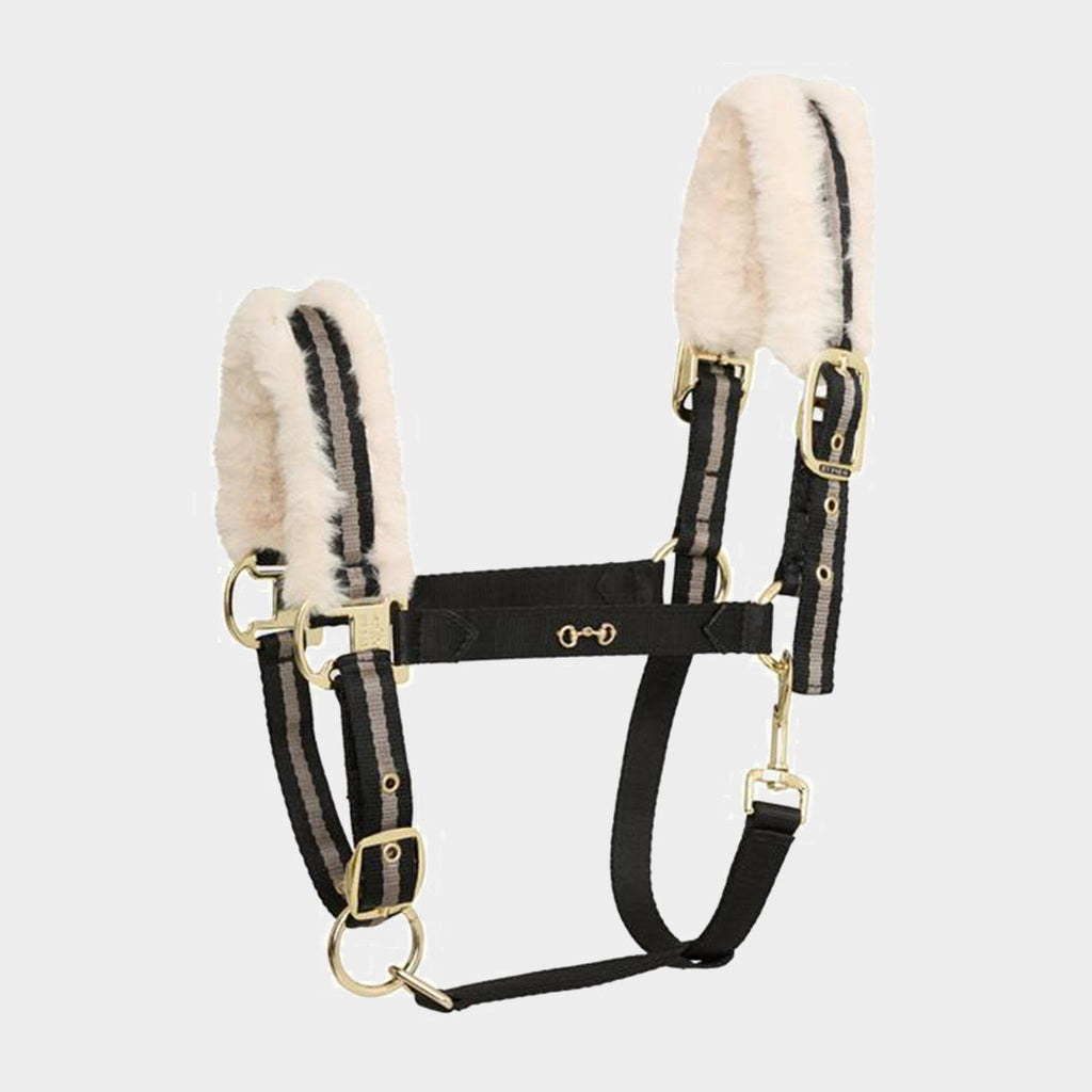 Favouritas YWF Headcollar Full
