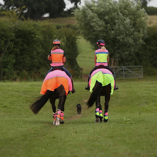 Charlotte Dujardin Multi-Coloured Quarter Sheet Pink/Yellow