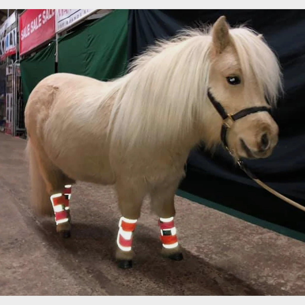 Charlotte Dujardin Multi-Coloured Horse Boots Pink/Orange