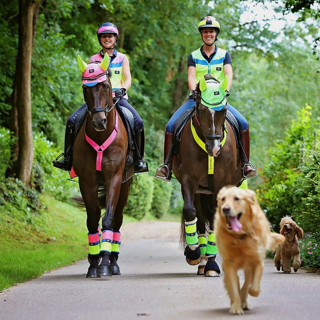 Charlotte Dujardin Multi-Coloured Horse Boots Pink/Yellow