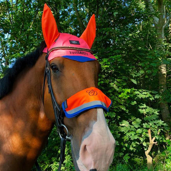 Charlotte Dujardin Multi-Coloured Nose Band Pink/Orange