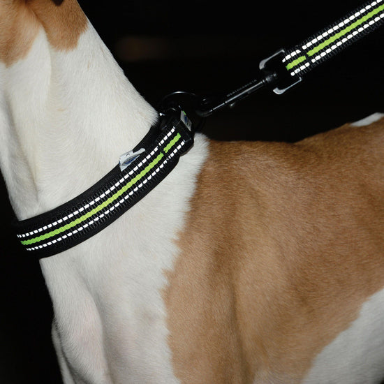 Reflective Dog Collar Black/Yellow