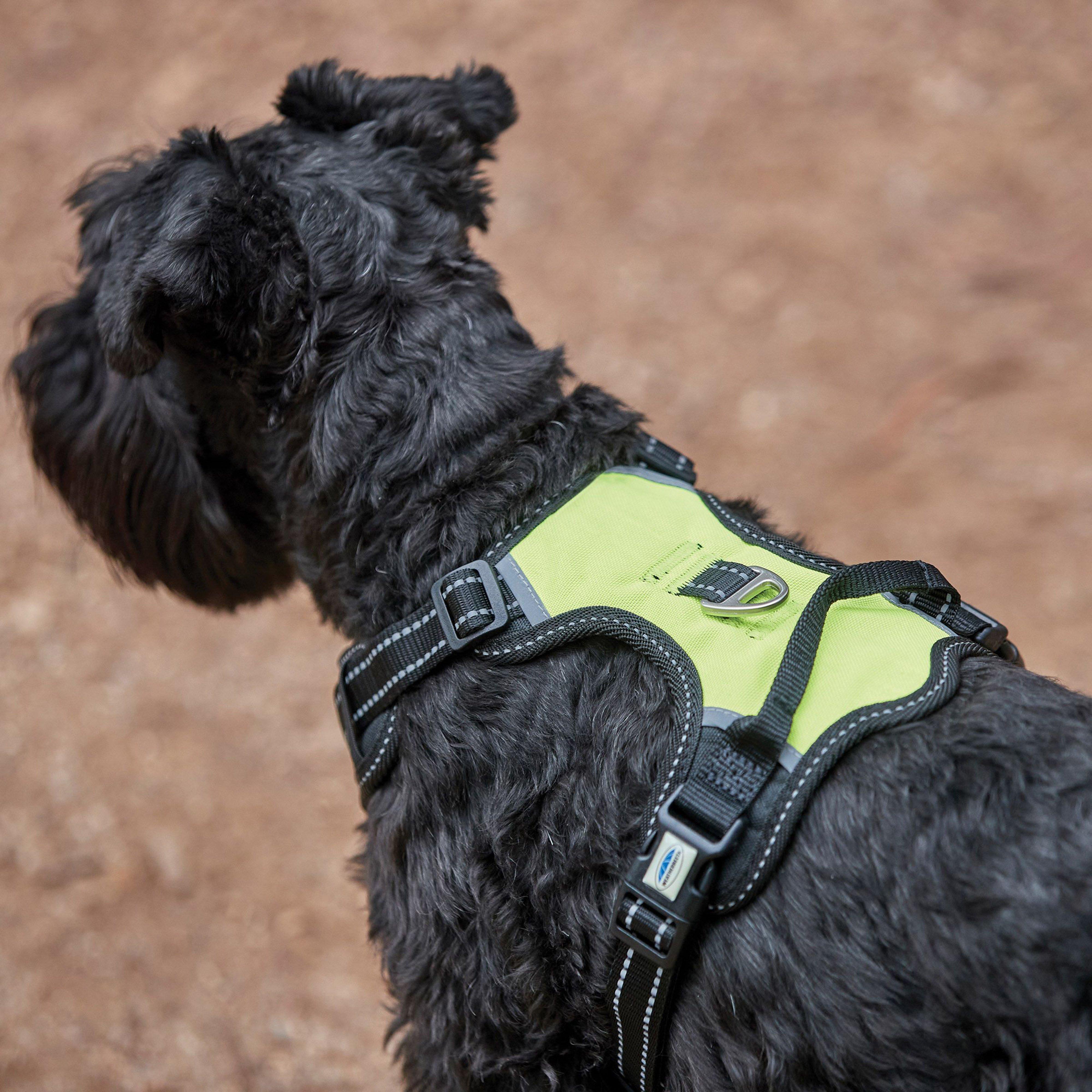 Antipull/Travel Harness Yellow Reflective