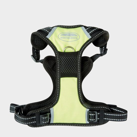 Anti-Pull/Travel Dog Harness (XL)