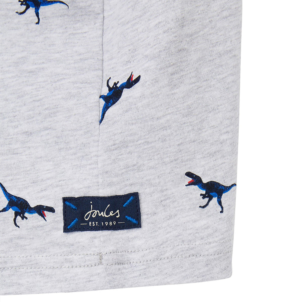 Childs Olly T-Shirt Grey Dino