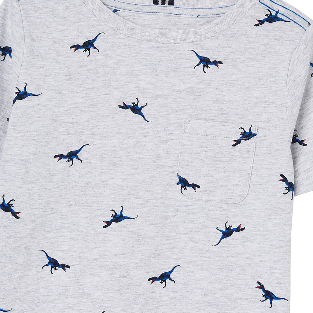Childs Olly T-Shirt Grey Dino