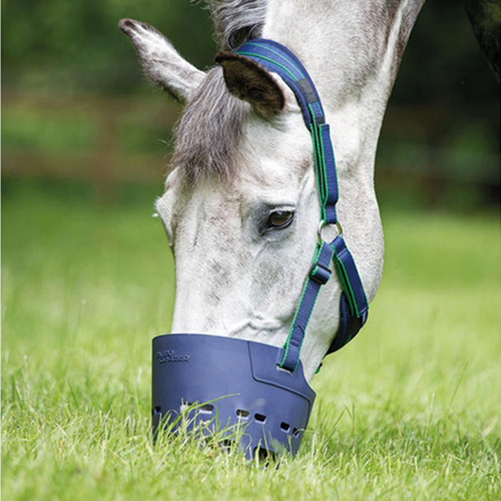 Flexi Grazer Muzzle Navy
