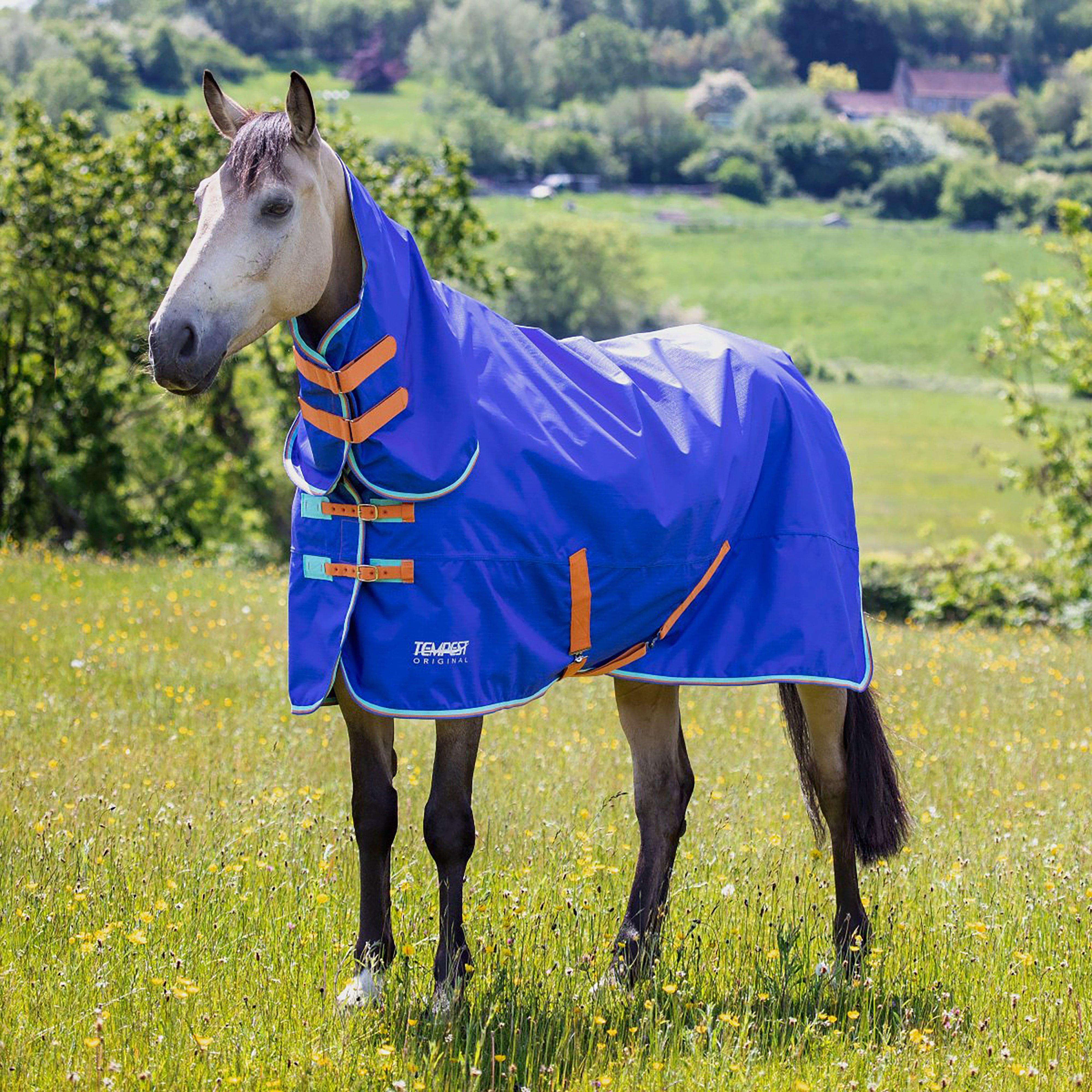 Tempest Original 50g Combo Turnout Royal