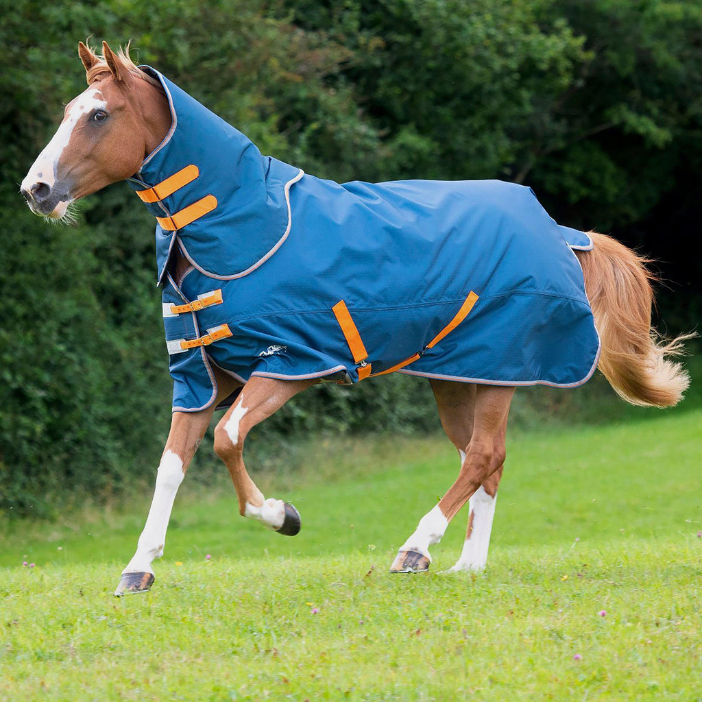 Tempest Original 0g Lite Turnout Rug and Neck Set Teal