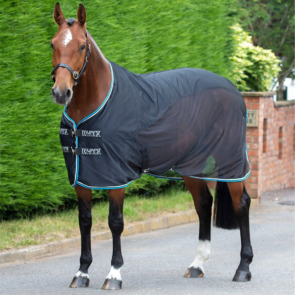 Tempest Original Fleece/Mesh Cooler Black