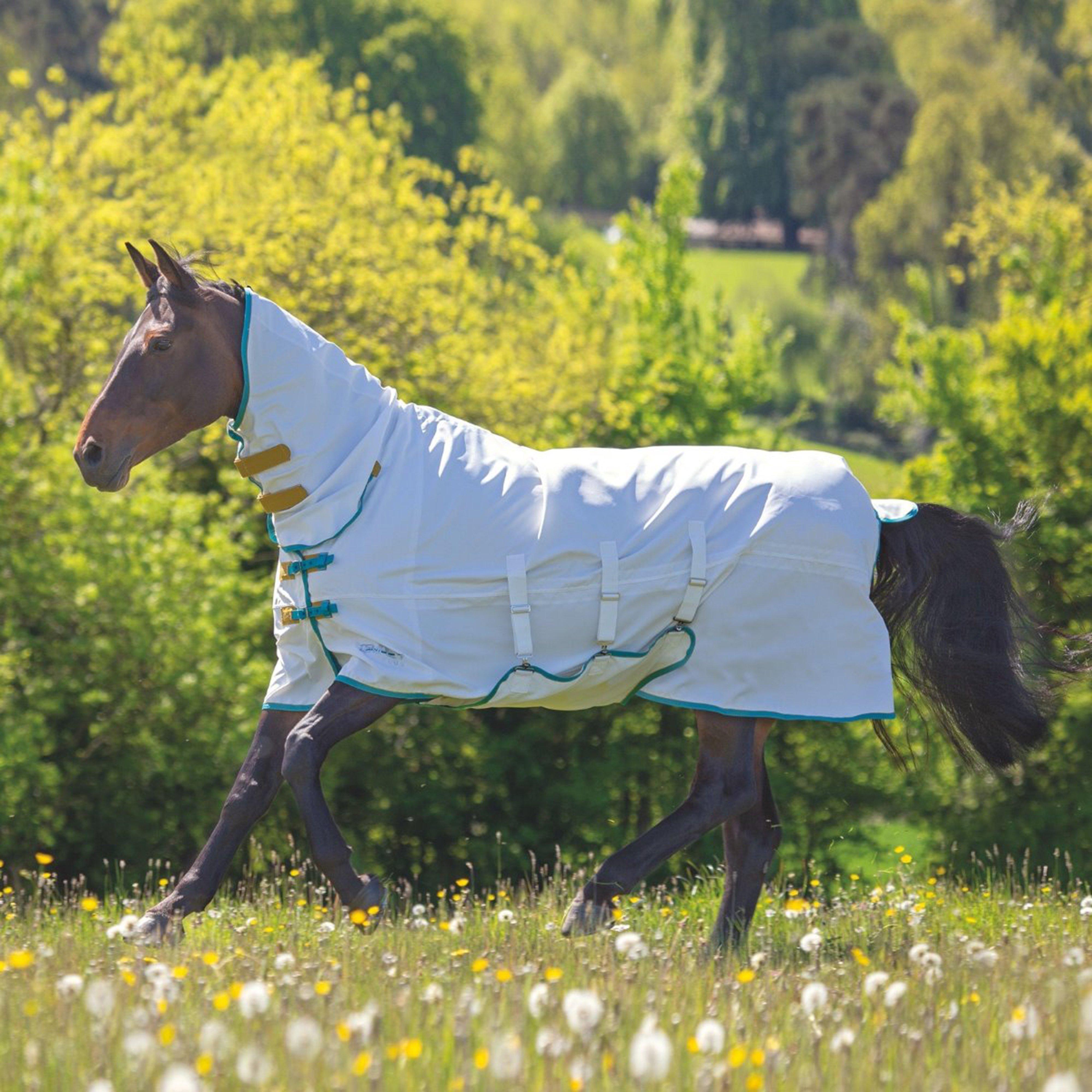 Tempest Plus Sweet-itch Combo Rug White