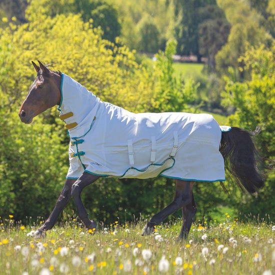 Tempest Plus Sweet-itch Combo Rug White