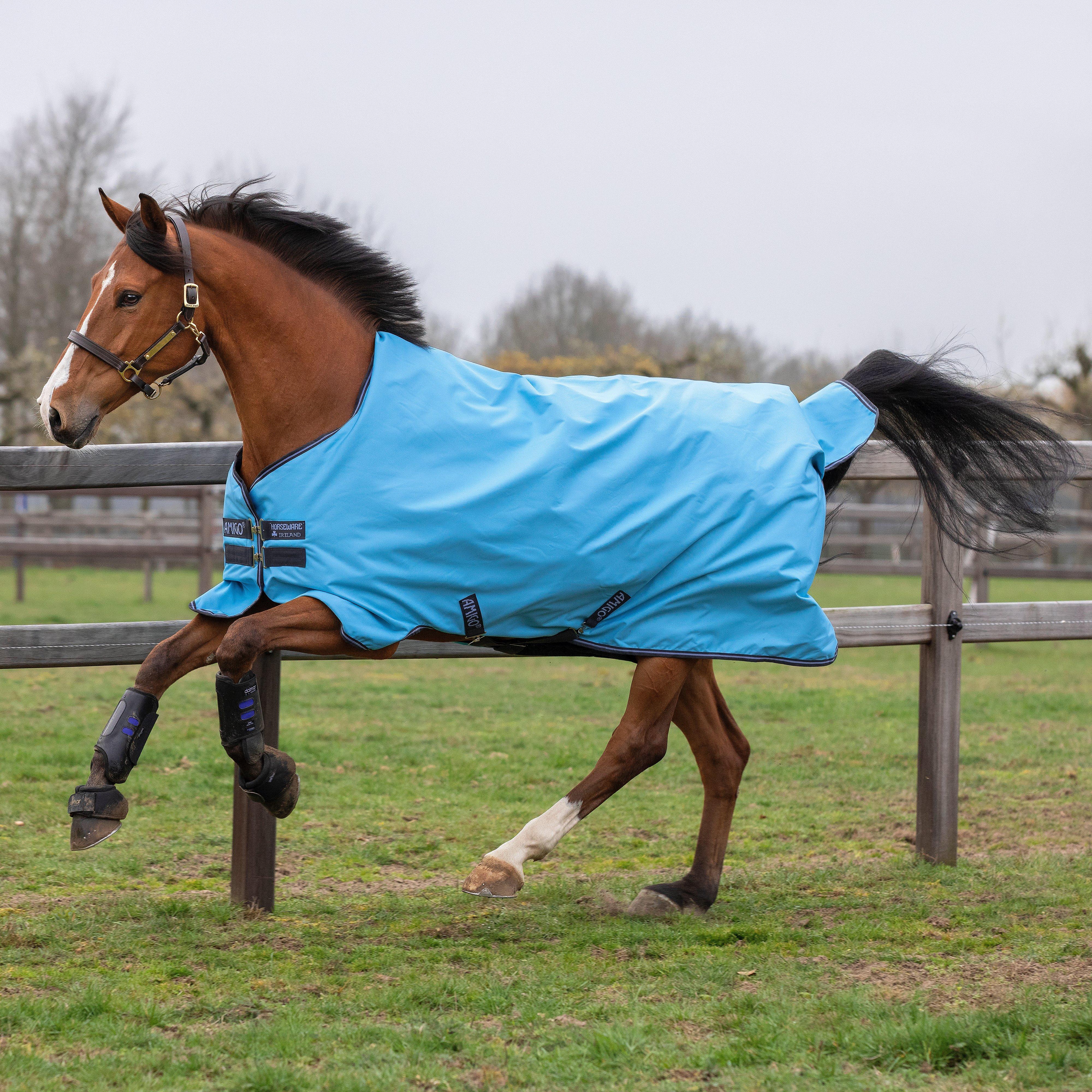 Amigo Hero 900D Turnout Rug 0g Lite Capri/Gunmetal/Bluebell
