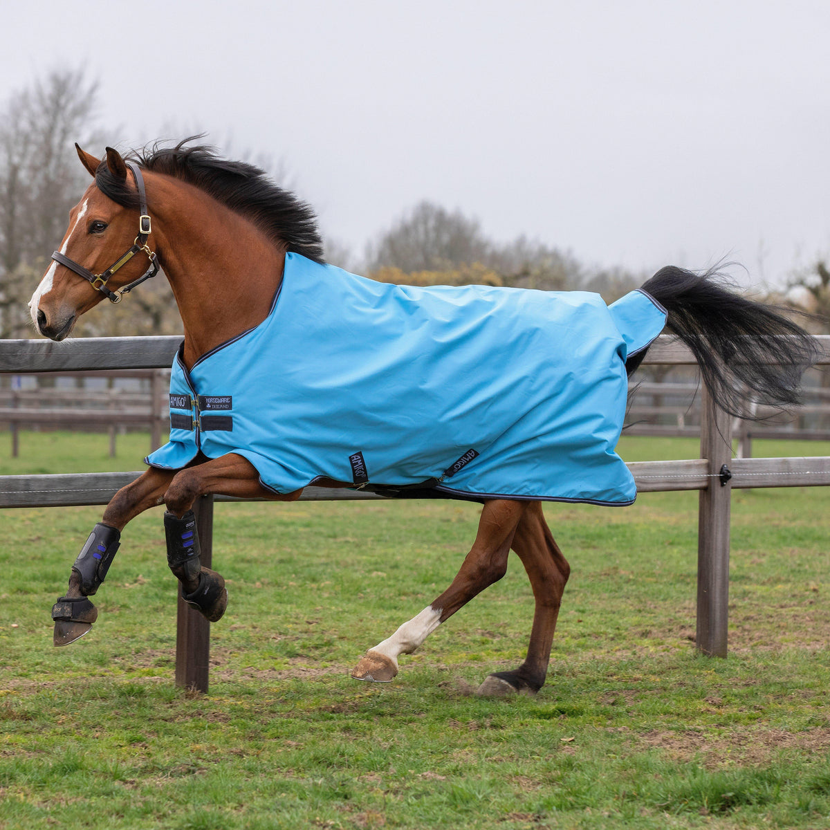 Amigo Hero 900D Turnout Rug 0g Lite Capri/Gunmetal/Bluebell