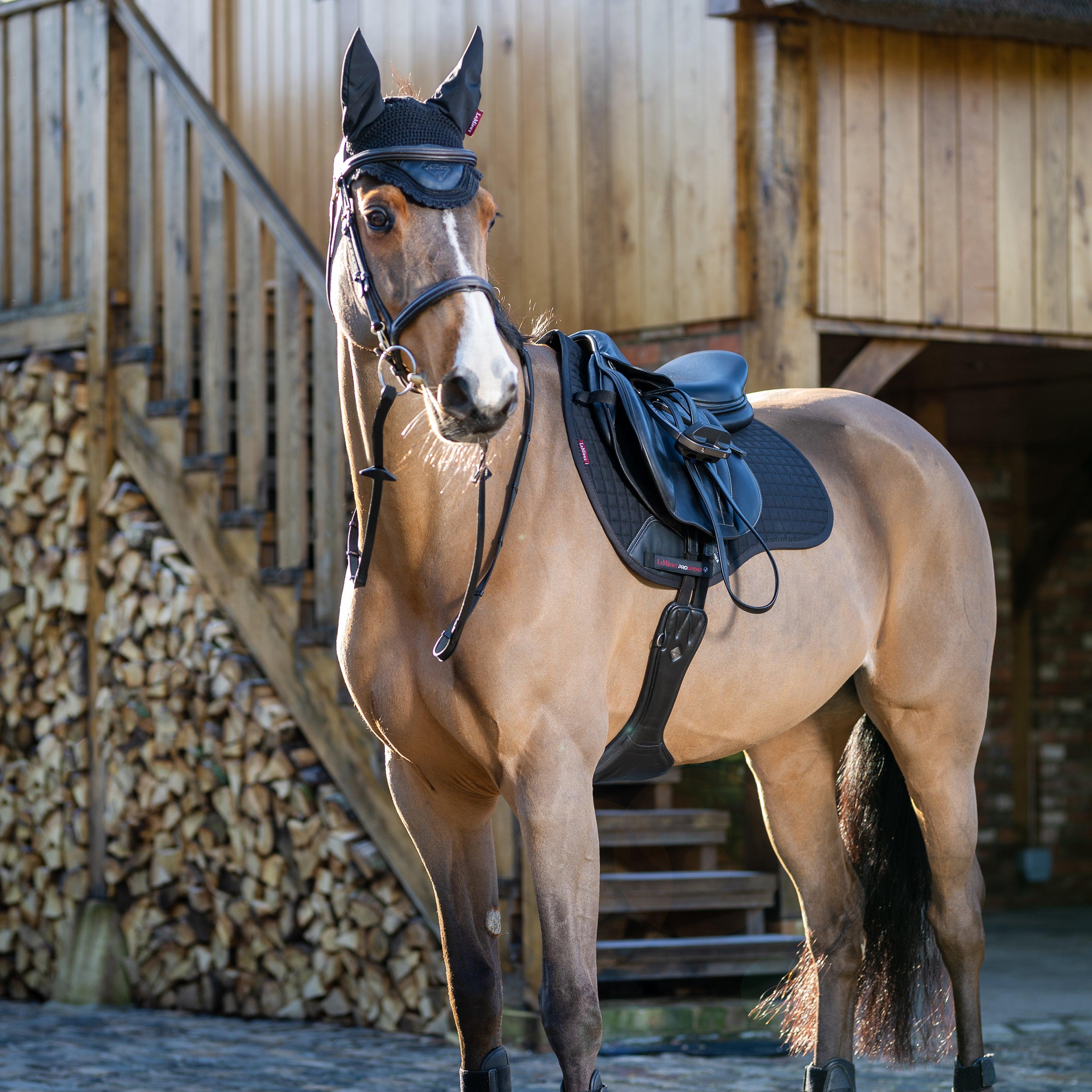 Cotton GP Saddle Pad Black