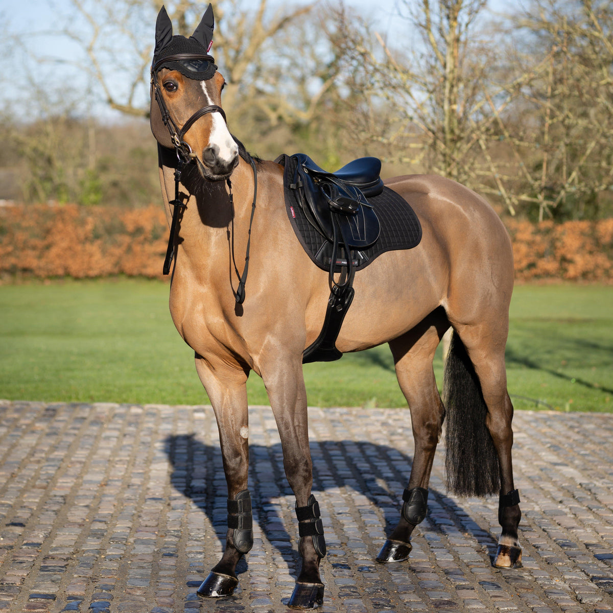 Cotton GP Saddle Pad Black