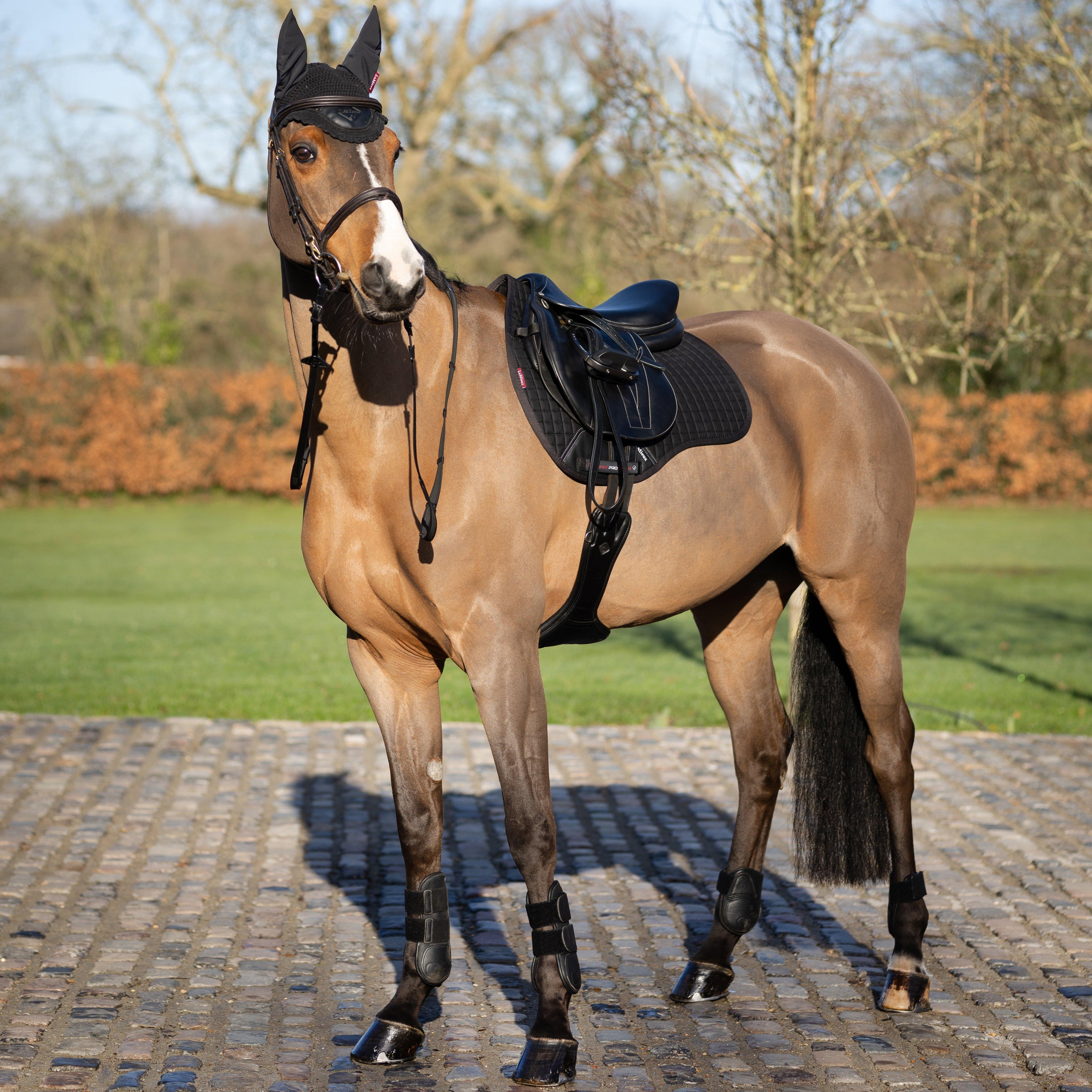 Cotton GP Saddle Pad Black