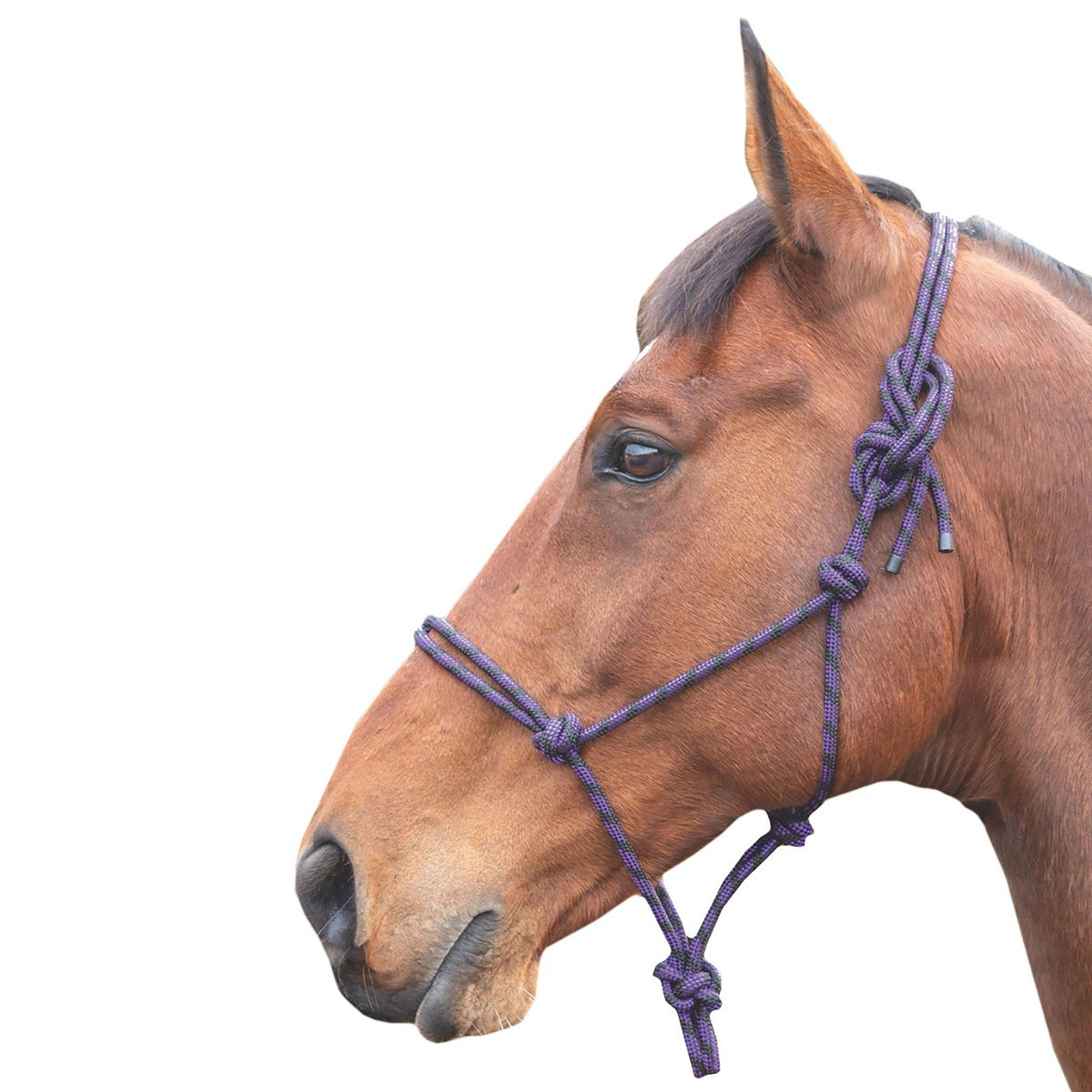 Shires Adjustable Rope Halter Purple/Black