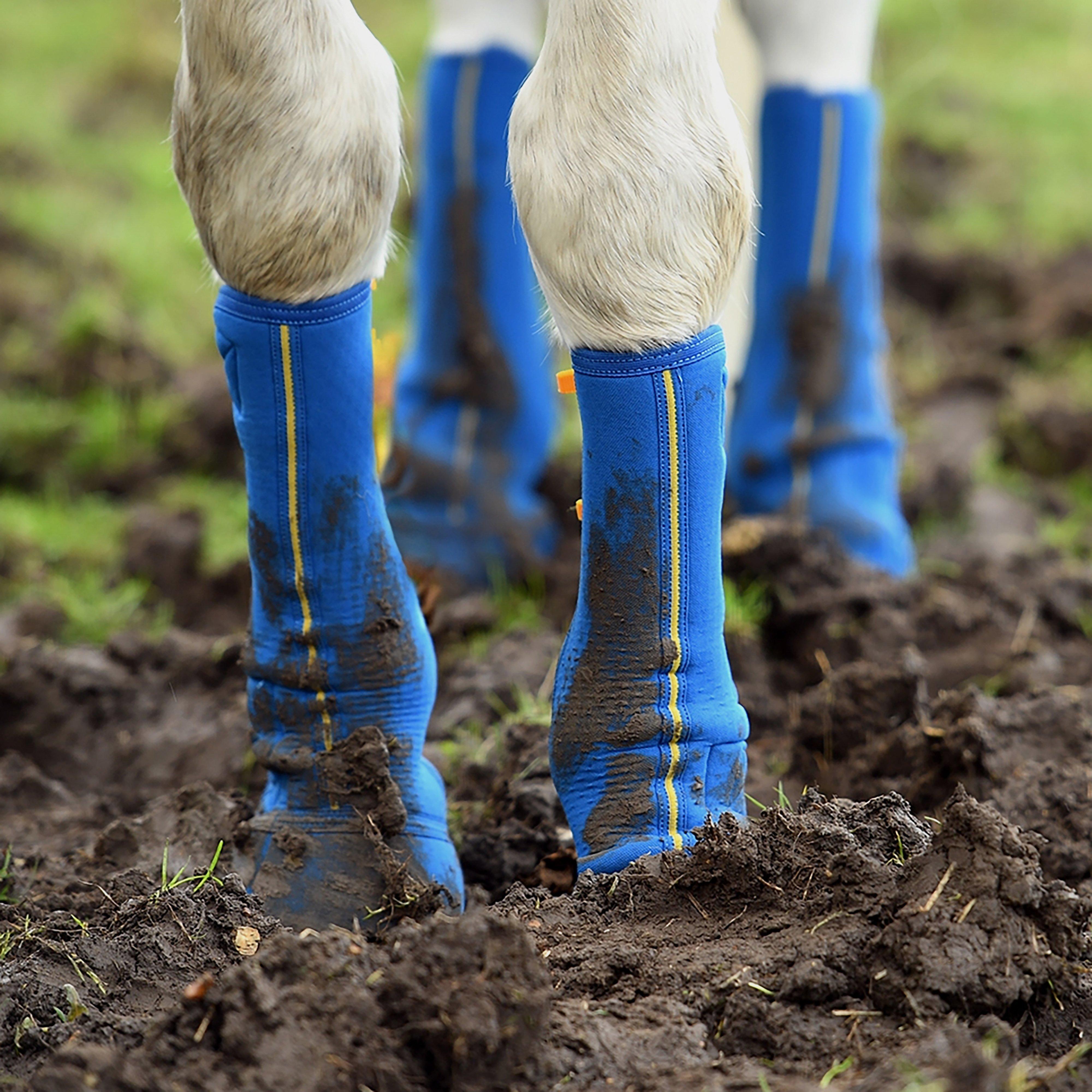 Equi-Chaps Close Contact Chap Navy