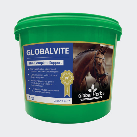 GlobalVite