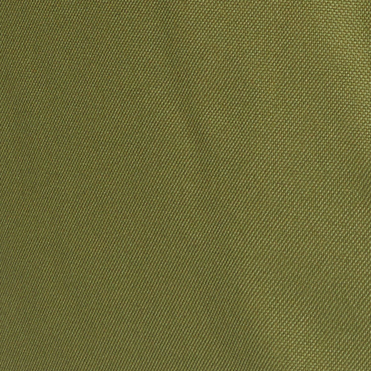 Wellington Boot Bag Green