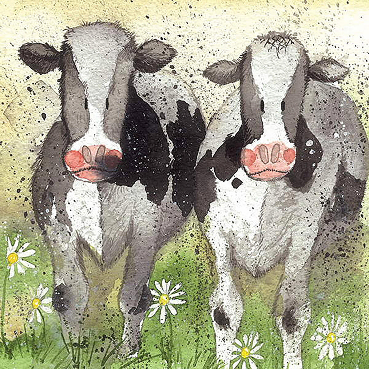 Cow Card