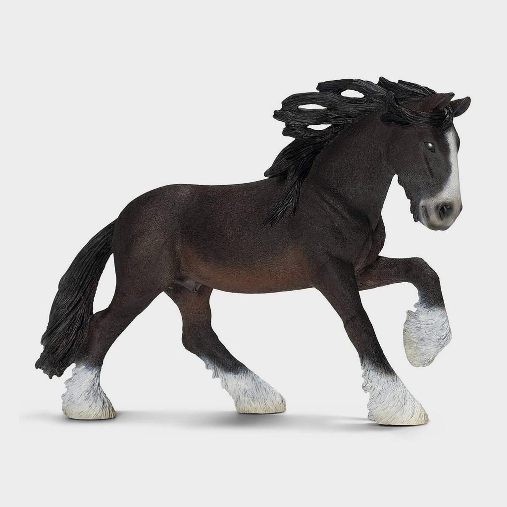 Shire Stallion